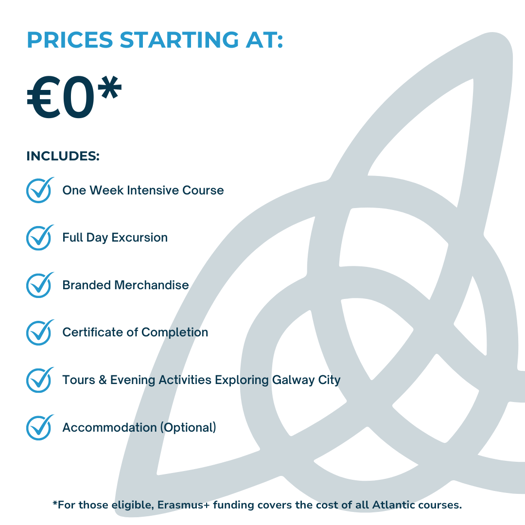 Price Card (3)